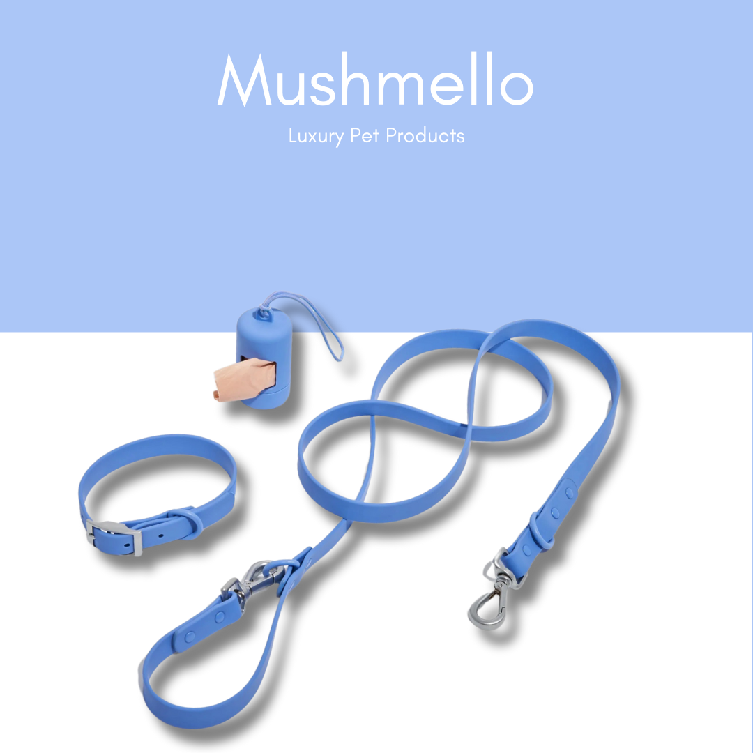 PVC coated waterproof easy-clean stylish dog collar - Blue