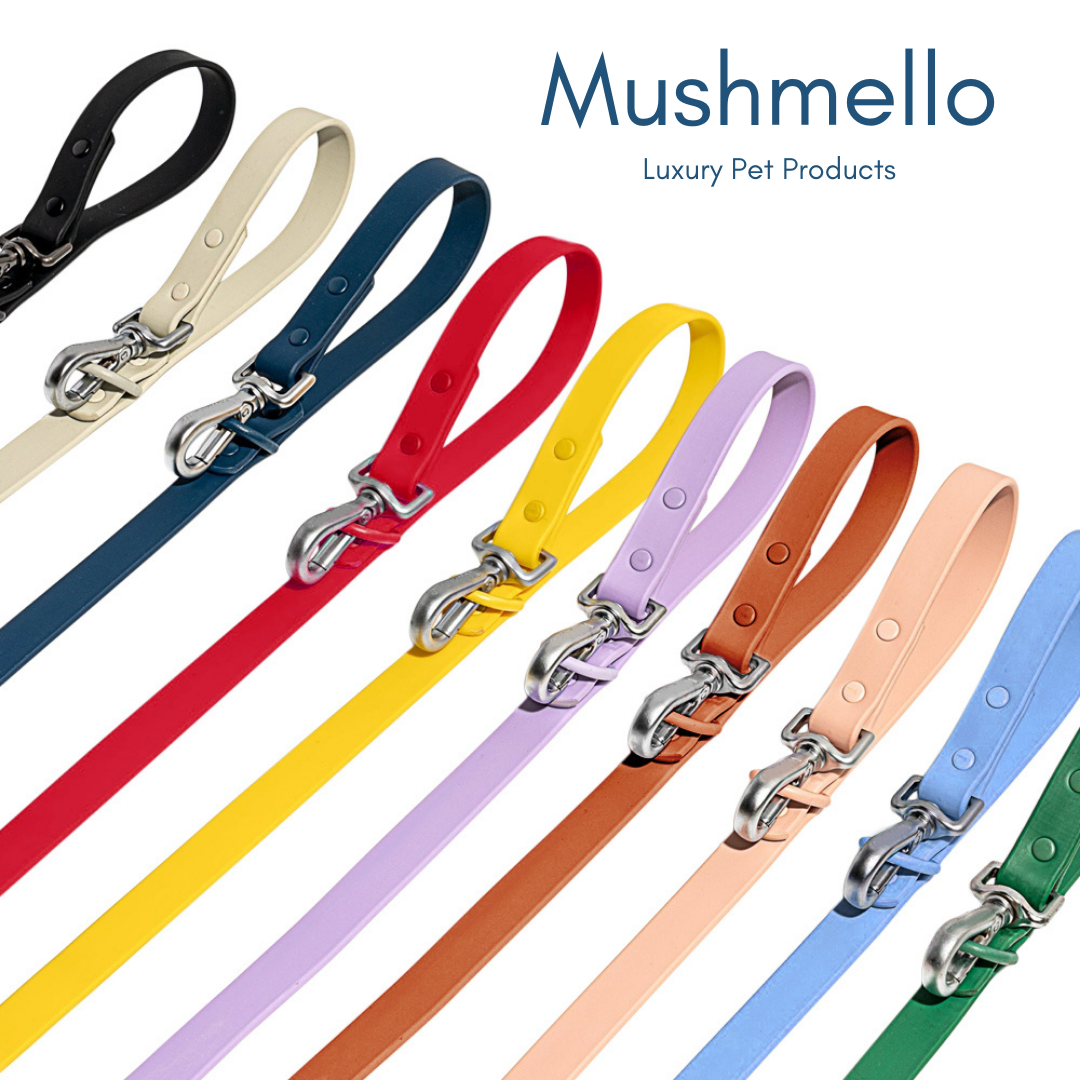 Navy Blue Luxury Waterproof PVC-Coated Harness, Leash, Collar Set – Stylish, Durable, and Easy to Clean