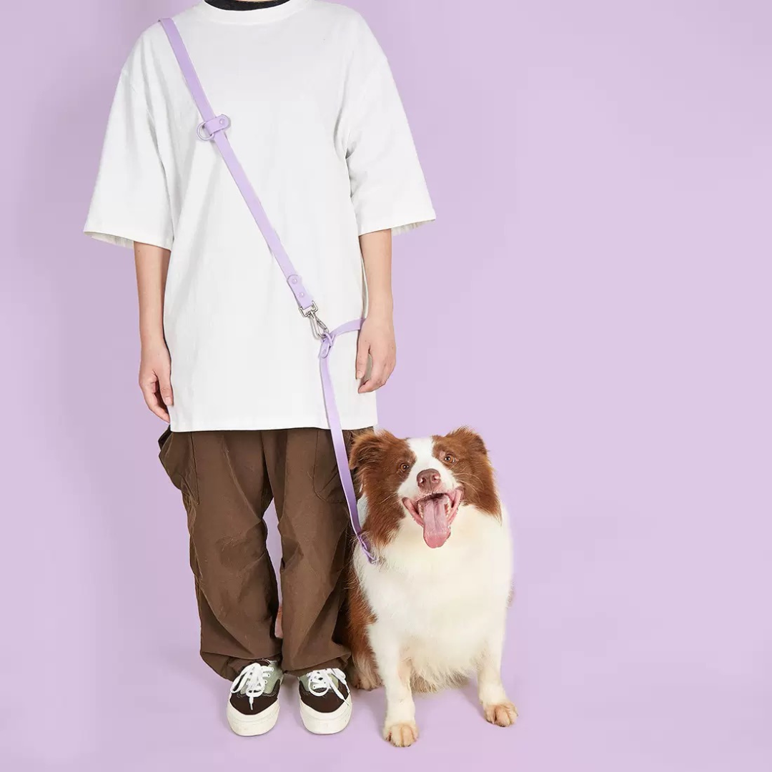 Hands-Free Dog Leash