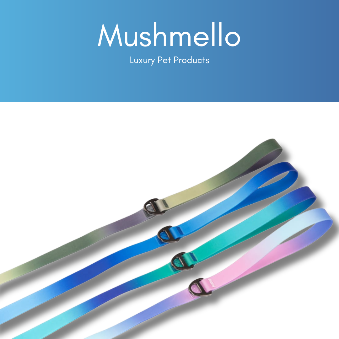 Gradient Waterproof PVC Coated Collar and Leash Sets