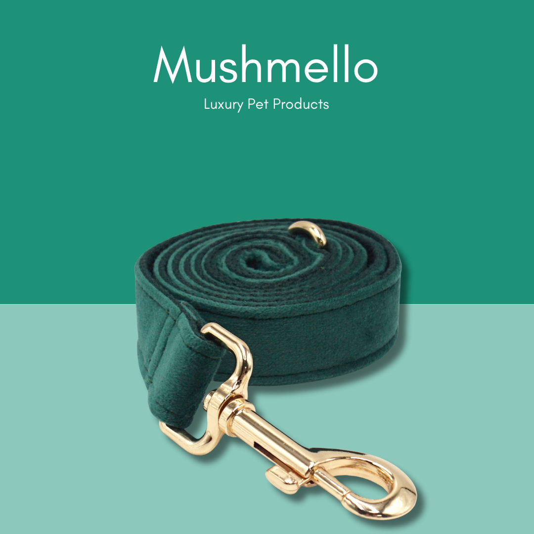 Luxury Rope Leash and Velvet Collar Set with Poop Bag holder- Emerald Green