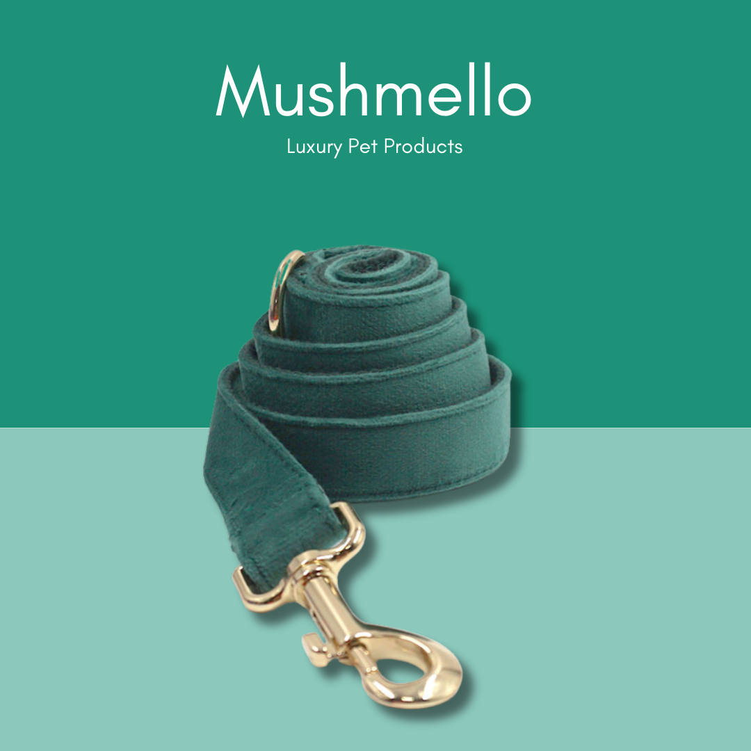 Luxury Rope Leash and Velvet Collar Set with Poop Bag holder- Emerald Green