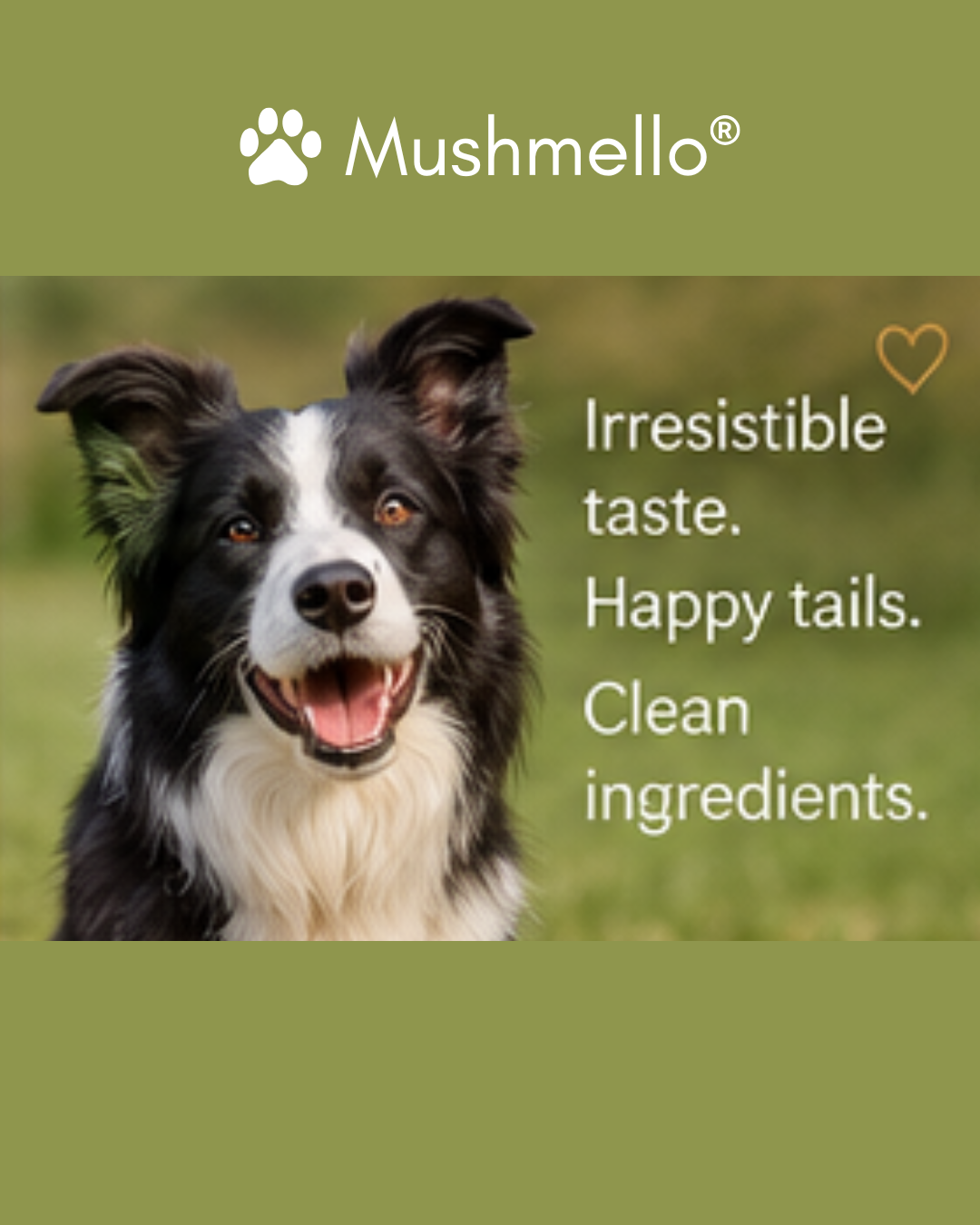 Mushmello Cluck Cubes | Freeze Dried Chicken Dog Treats