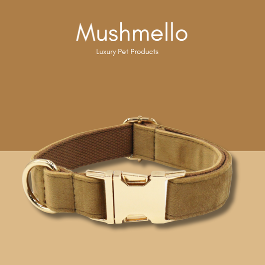 Soft Luxury Velvet Dog Collar and Leash set - Coffee Brown