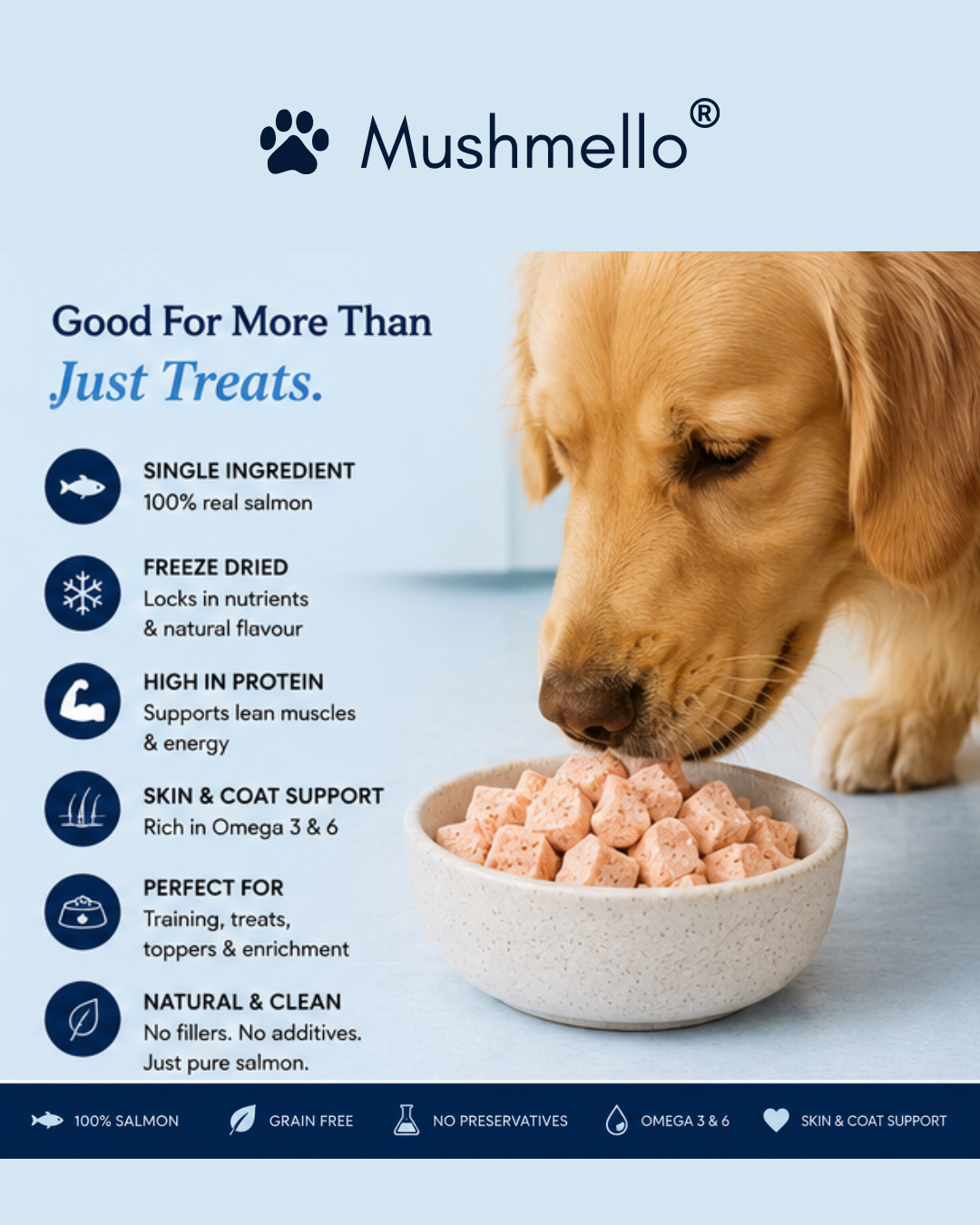 Mushmello Salmon Pops | Freeze Dried Salmon Dog Treats