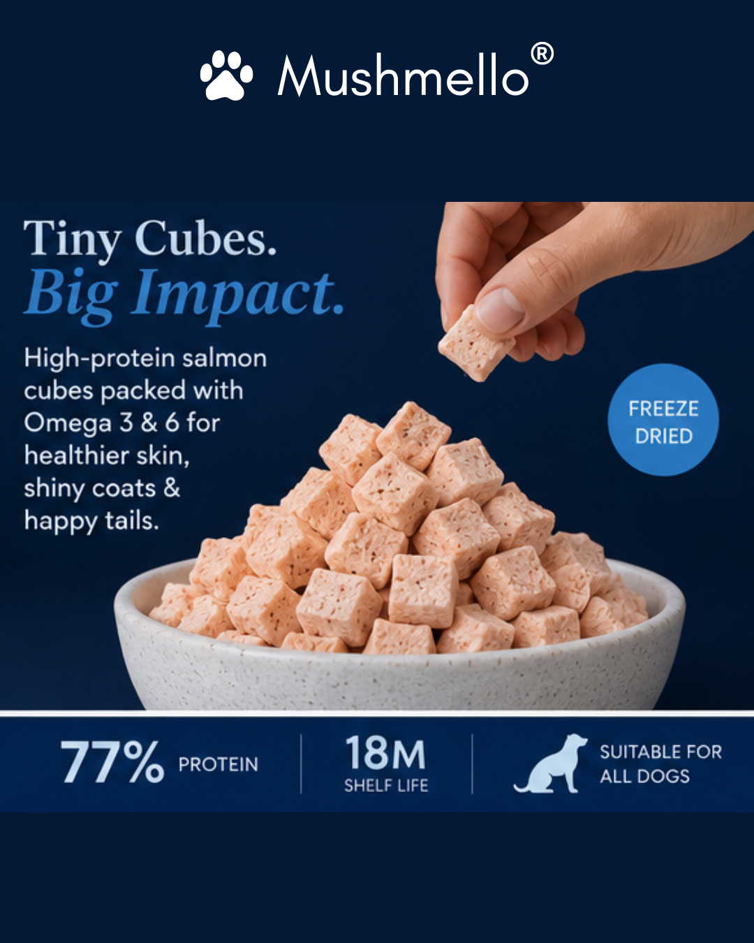 Mushmello Salmon Pops | Freeze Dried Salmon Dog Treats