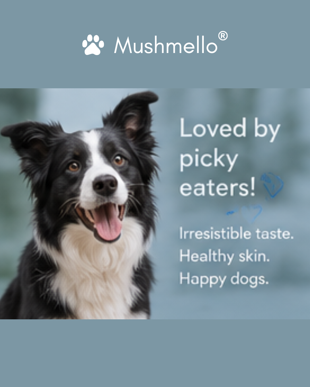 Mushmello Salmon Pops | Freeze Dried Salmon Dog Treats