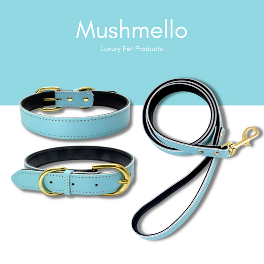 Luxury Leather Collar with FREE Matching Leash - Blue