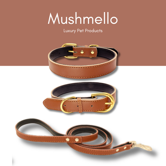 Luxury Leather Collar with FREE Matching Leash - Brown