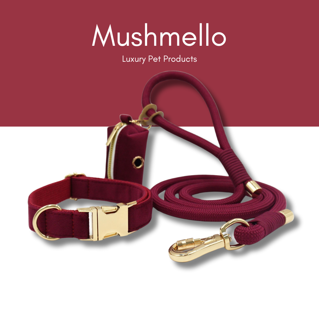 Luxury Rope Leash and Velvet Collar Set - Burgundy