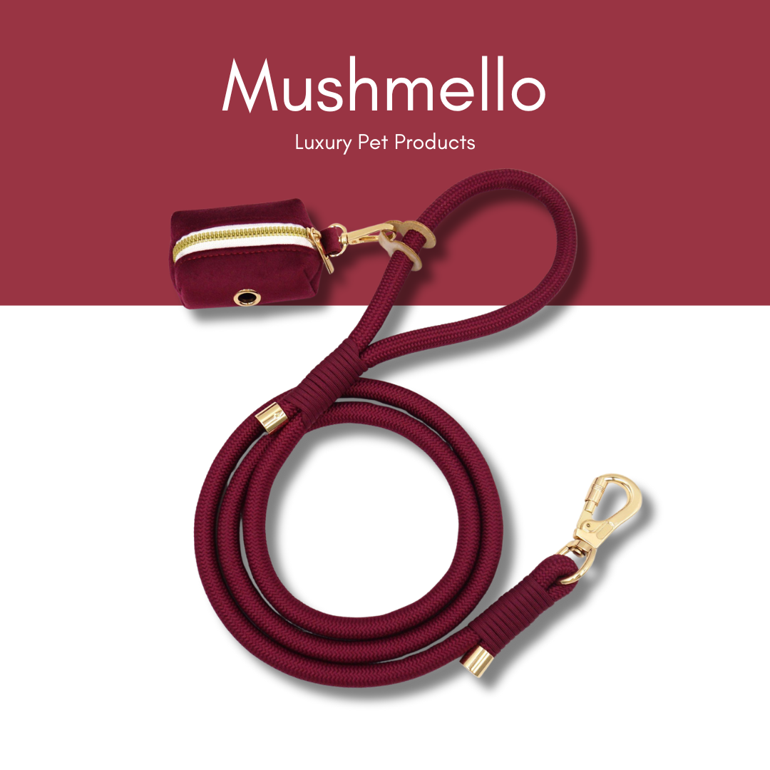 Luxury Rope Leash and Velvet Collar Set - Burgundy