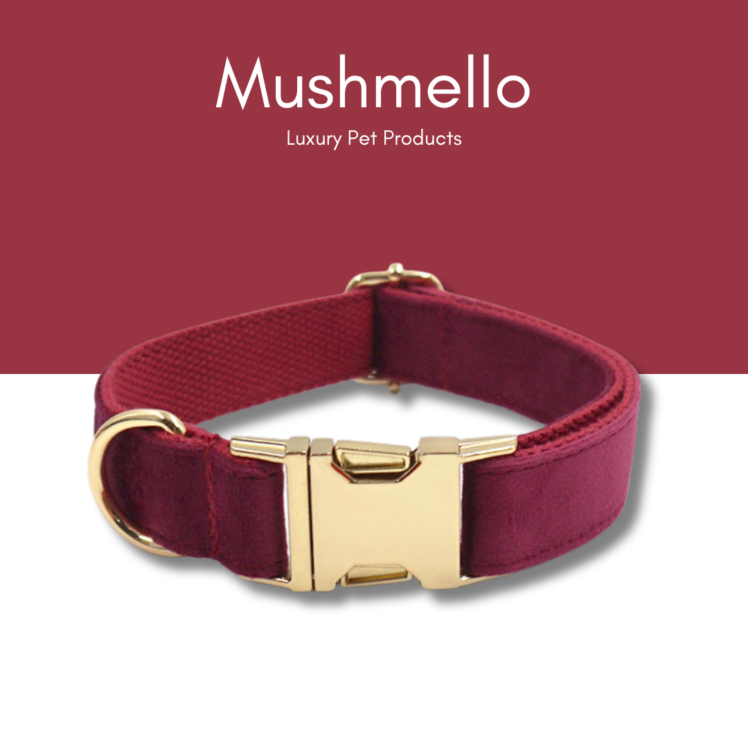 Luxury Rope Leash and Velvet Collar Set - Burgundy