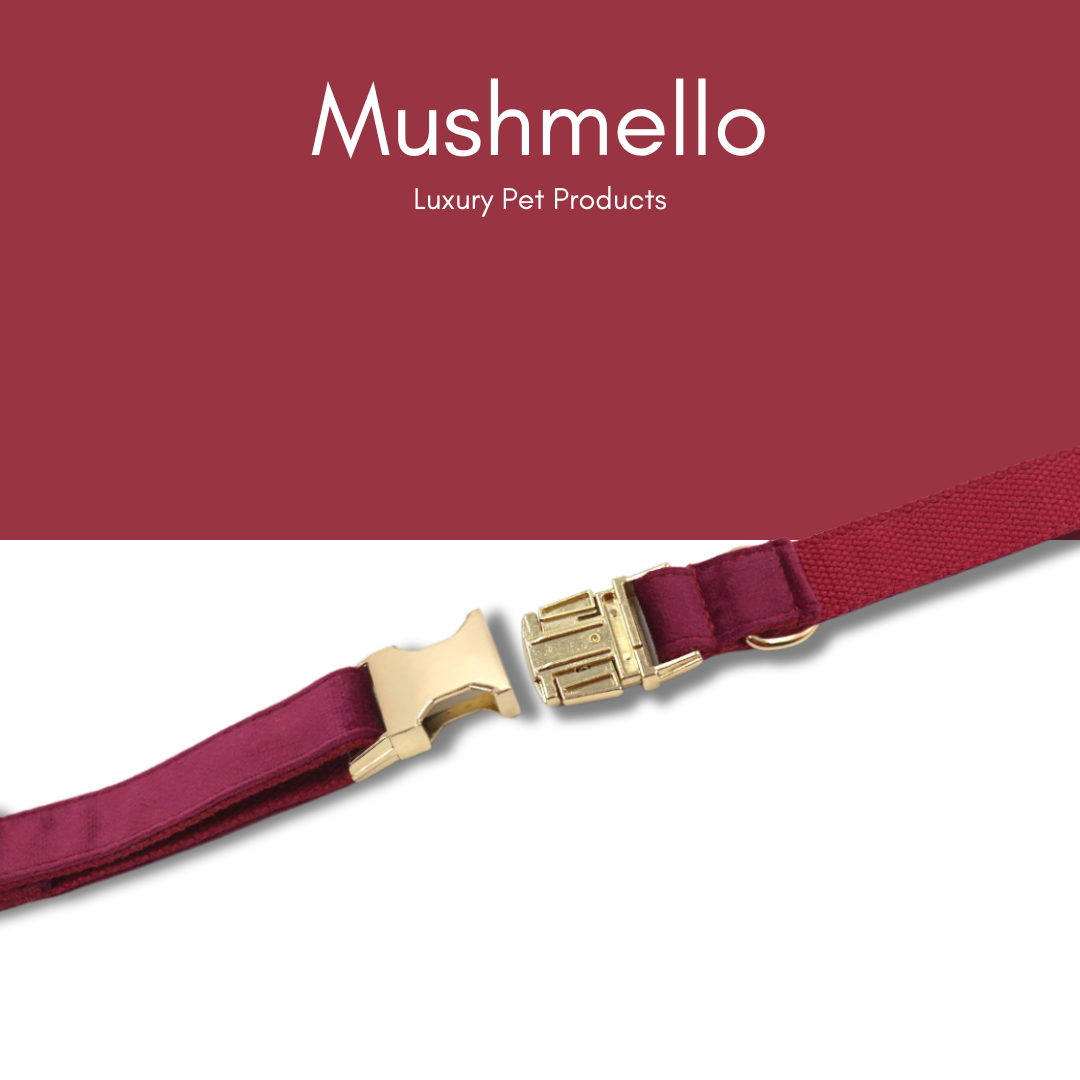 Luxury Rope Leash and Velvet Collar Set - Burgundy