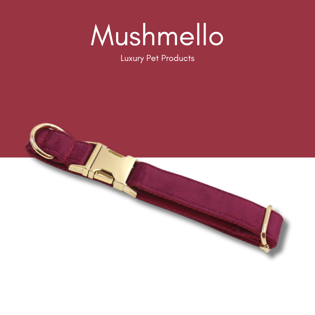 Luxury Rope Leash and Velvet Collar Set - Burgundy