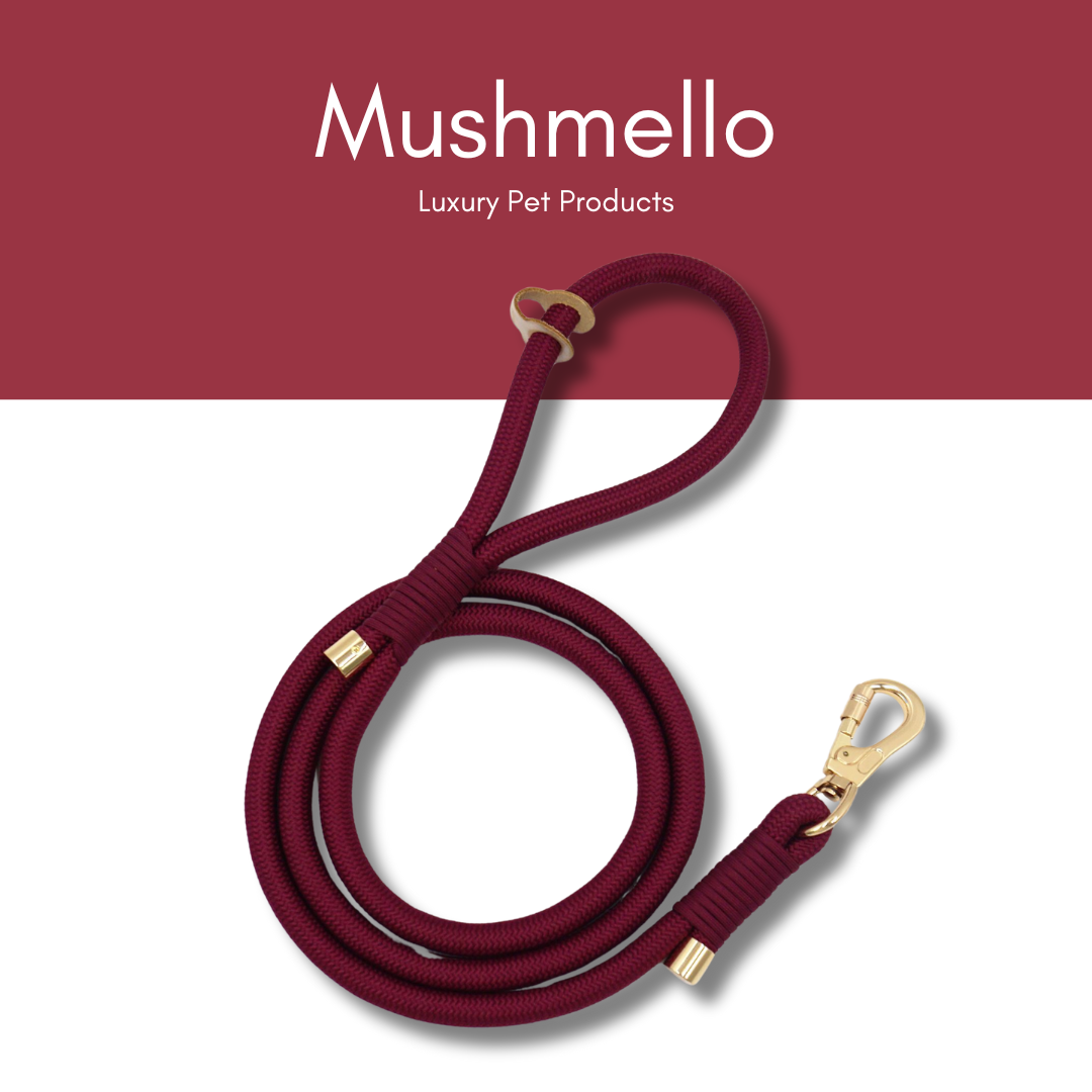 Luxury Rope Leash and Velvet Collar Set - Burgundy