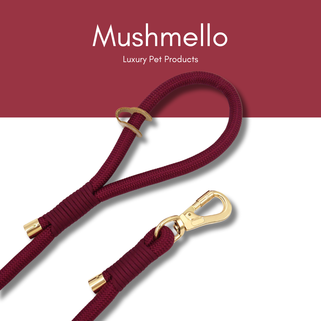 Luxury Rope Leash and Velvet Collar Set - Burgundy