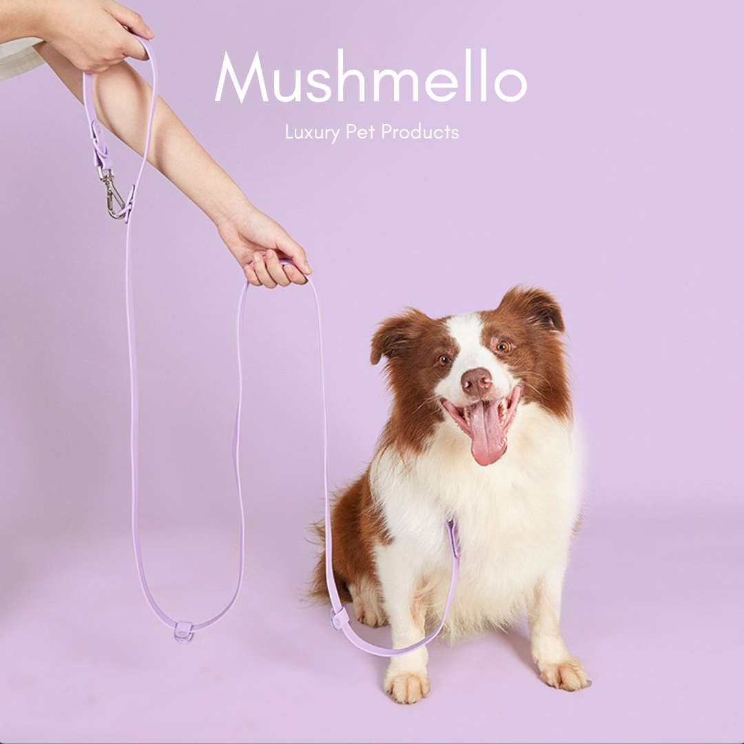 Hands-Free Waterproof Dog Leash 2.5m - Lilac Purple