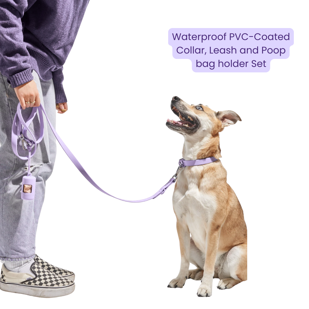Mushmello Tough Waterproof Harness with Collar and Leash Set - Purple