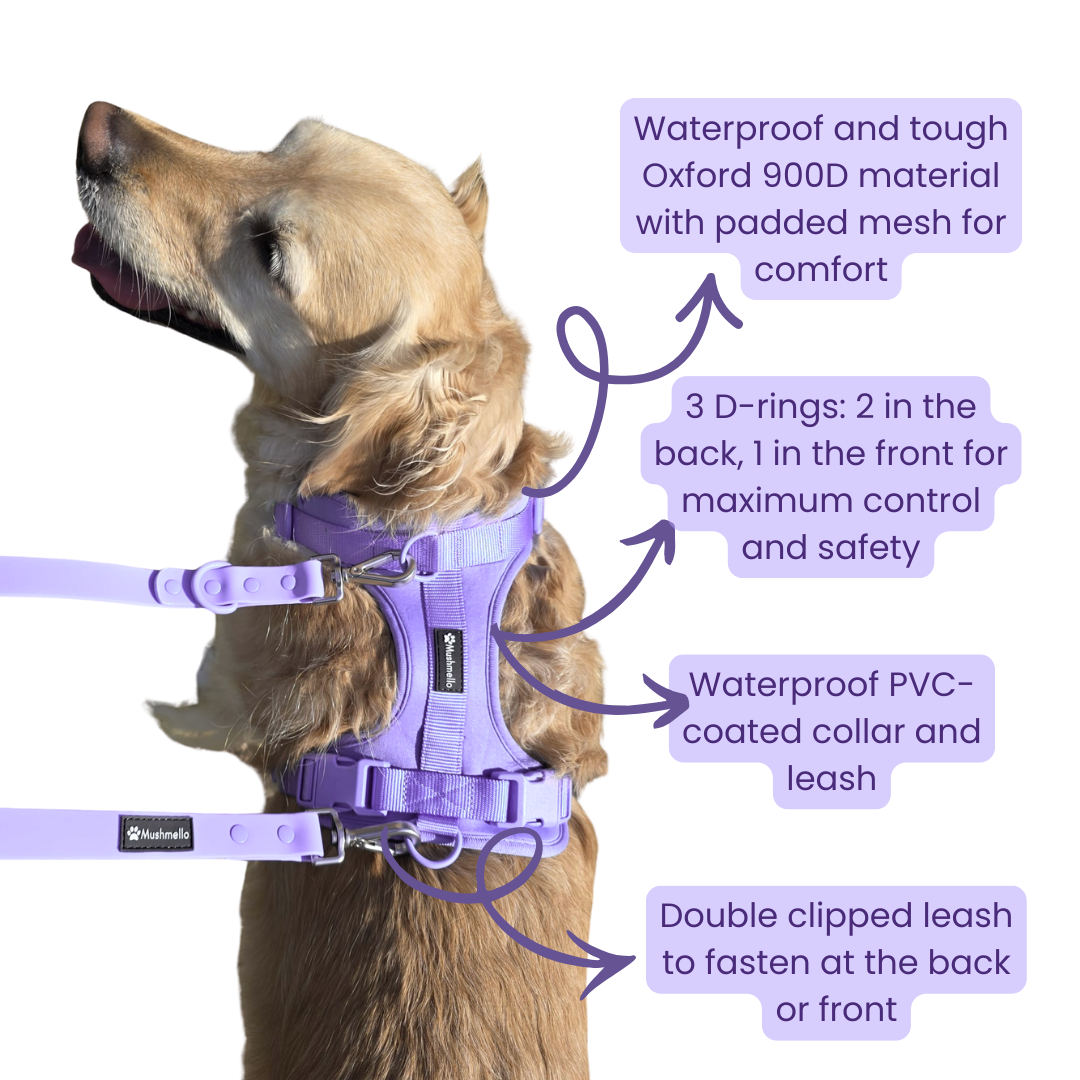 Mushmello Tough Waterproof Harness with Collar and Leash Set - Purple