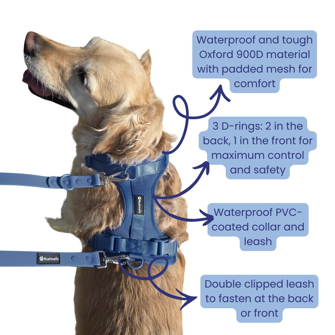 Mushmello Tough Waterproof Harness, Collar and Leash Set - Navy Blue