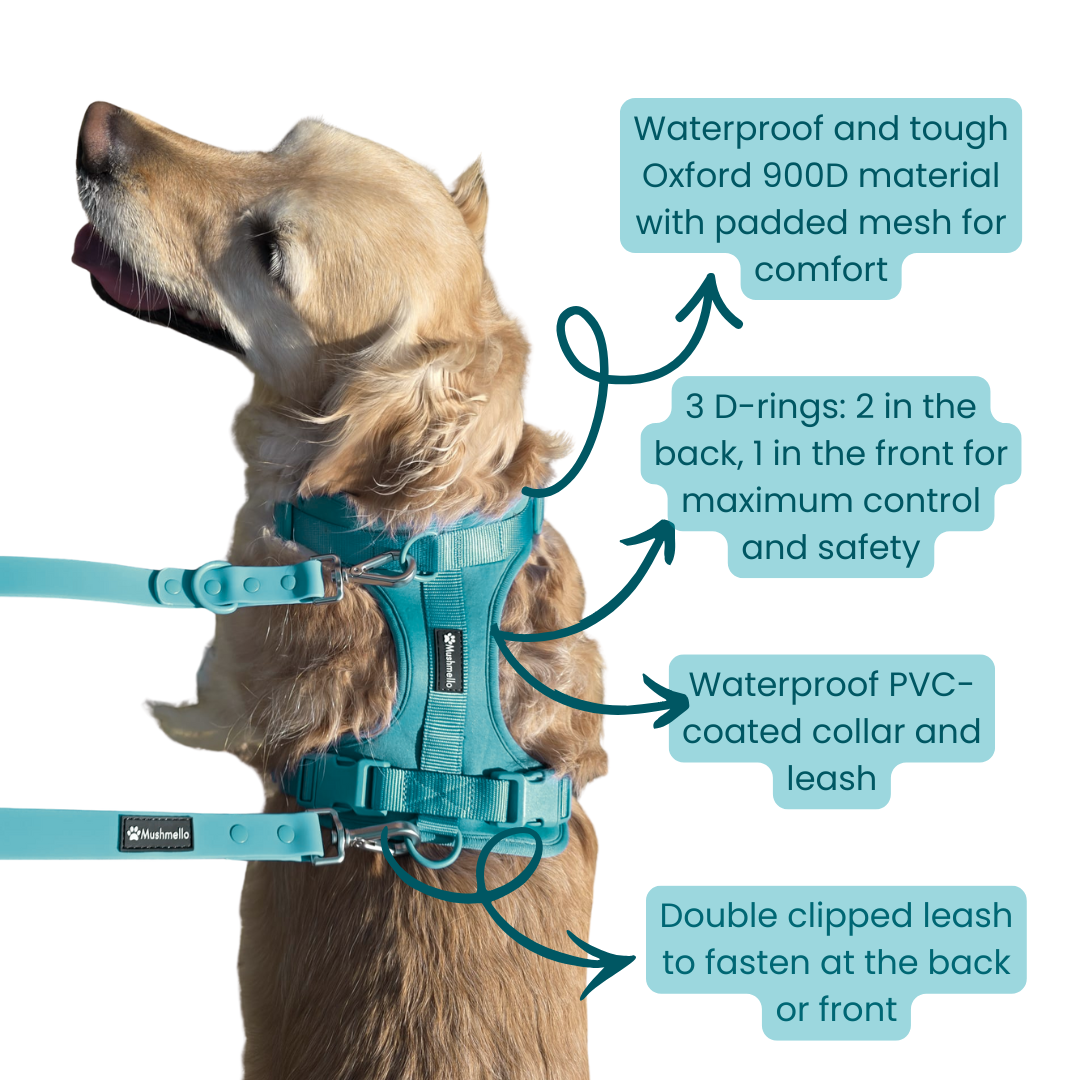 Mushmello Tough Waterproof Harness, Collar and Leash - Teal