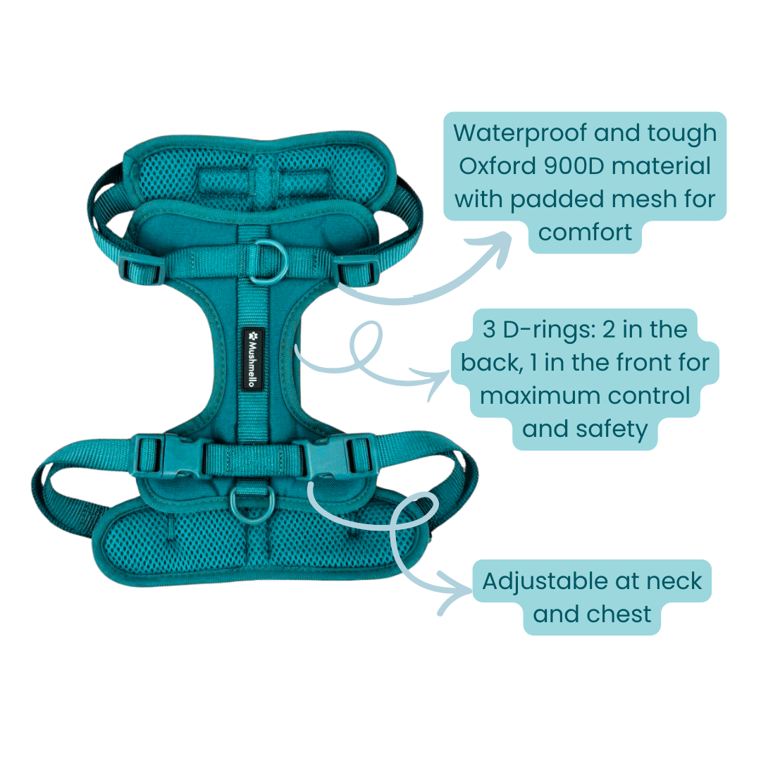 Mushmello Tough Waterproof Harness, Collar and Leash - Teal