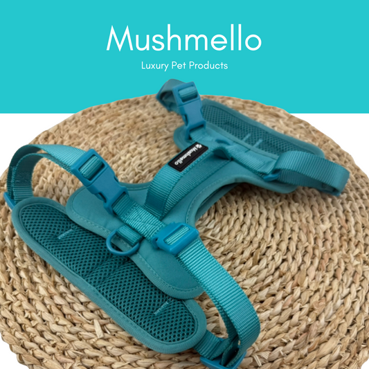 Mushmello Secure Waterproof Harness, Collar and Leash Set - Teal
