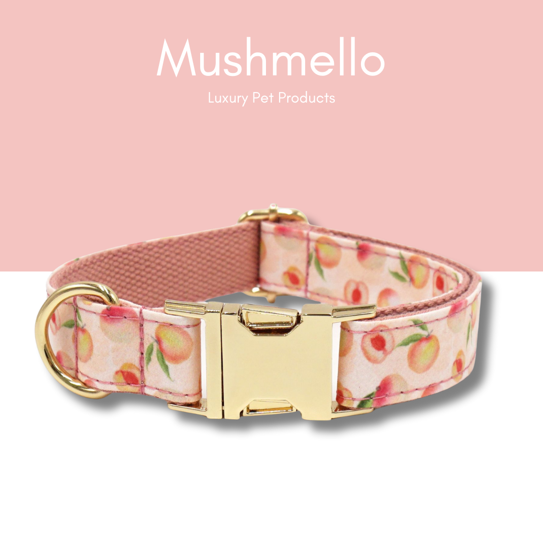 Luxury Rope Leash and Velvet Collar Set with Poop bag holder and Bowtie - Peach