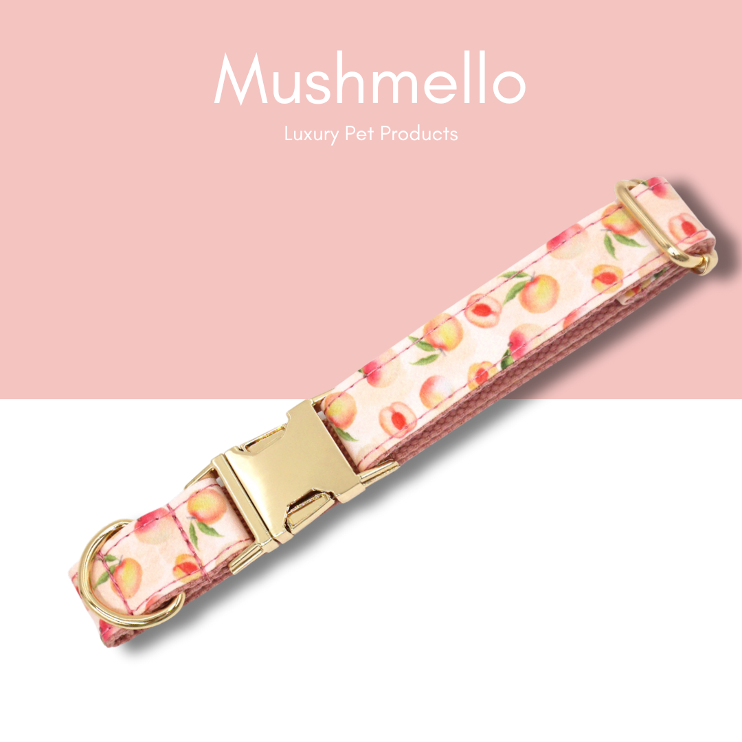 Luxury Rope Leash and Velvet Collar Set with Poop bag holder and Bowtie - Peach