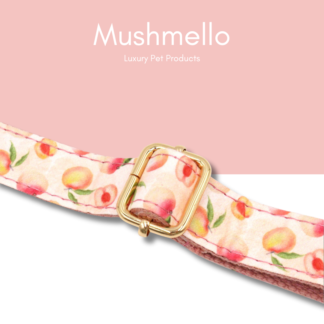 Luxury Rope Leash and Velvet Collar Set with Poop bag holder and Bowtie - Peach