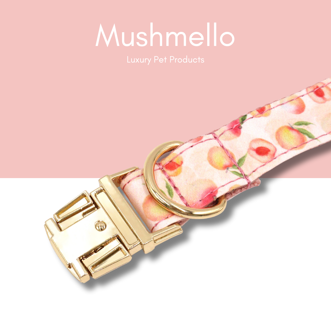 Luxury Rope Leash and Velvet Collar Set with Poop bag holder and Bowtie - Peach