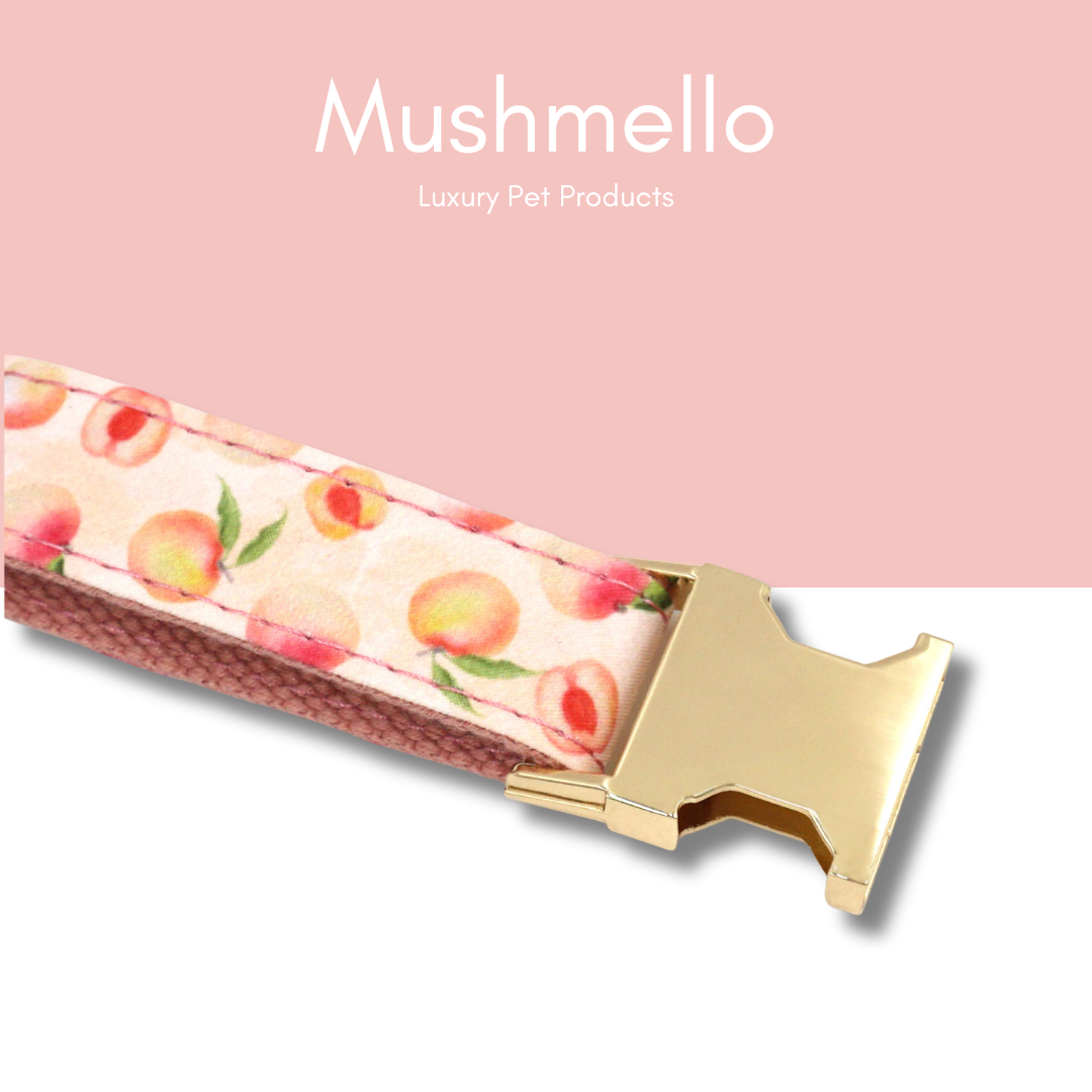 Luxury Rope Leash and Velvet Collar Set with Poop bag holder and Bowtie - Peach