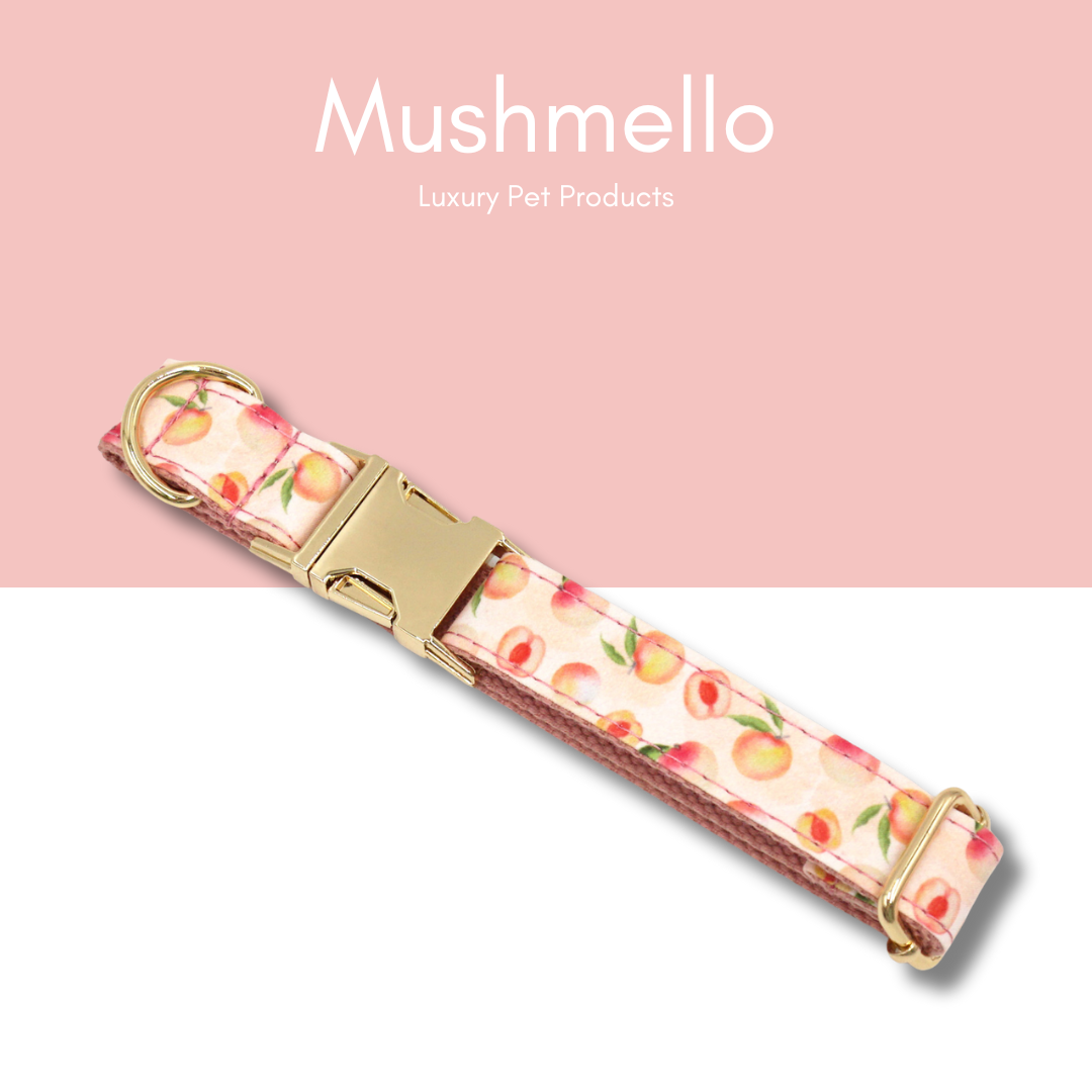 Luxury Rope Leash and Velvet Collar Set with Poop bag holder and Bowtie - Peach