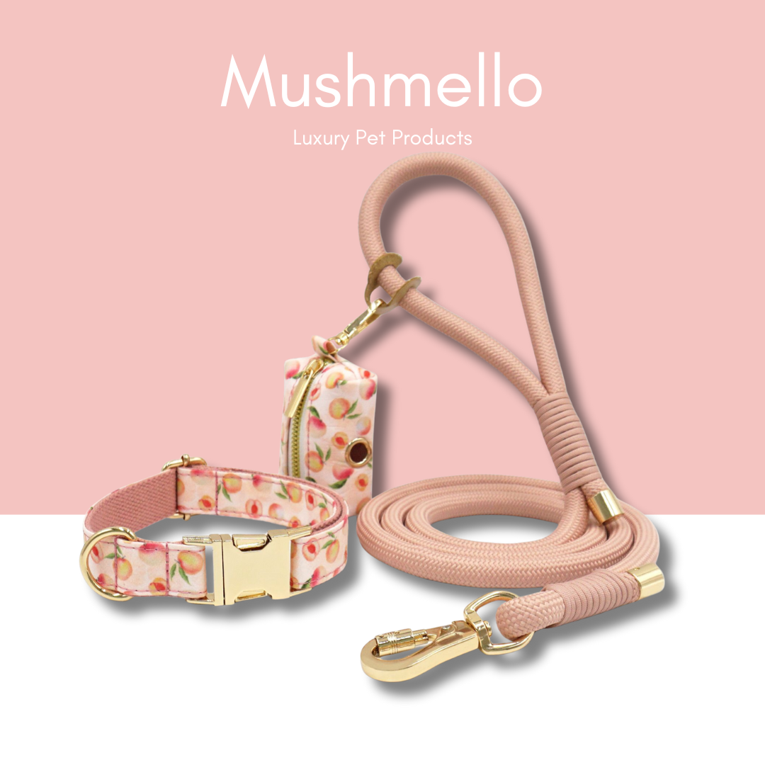 Luxury Rope Leash and Velvet Collar Set with Poop bag holder and Bowtie - Peach