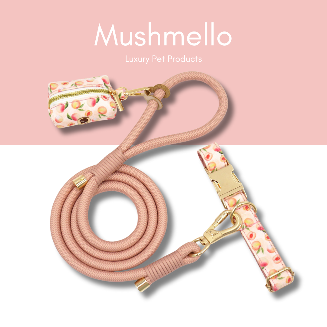 Luxury Rope Leash and Velvet Collar Set with Poop bag holder and Bowtie - Peach