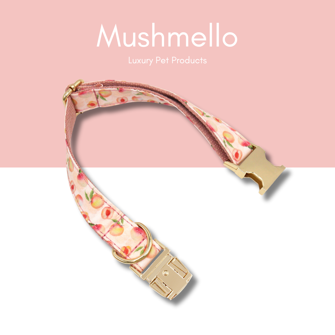 Luxury Rope Leash and Velvet Collar Set with Poop bag holder and Bowtie - Peach