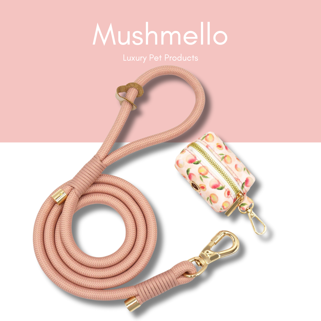 Luxury Rope Leash and Velvet Collar Set with Poop bag holder and Bowtie - Peach