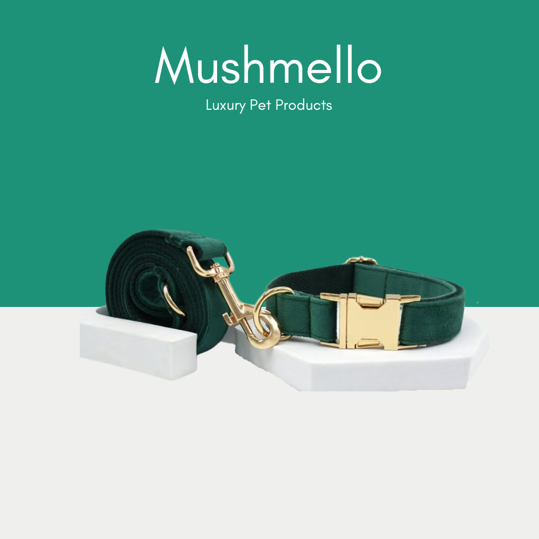 Luxury Rope Leash and Velvet Collar Set with Poop Bag holder- Emerald Green