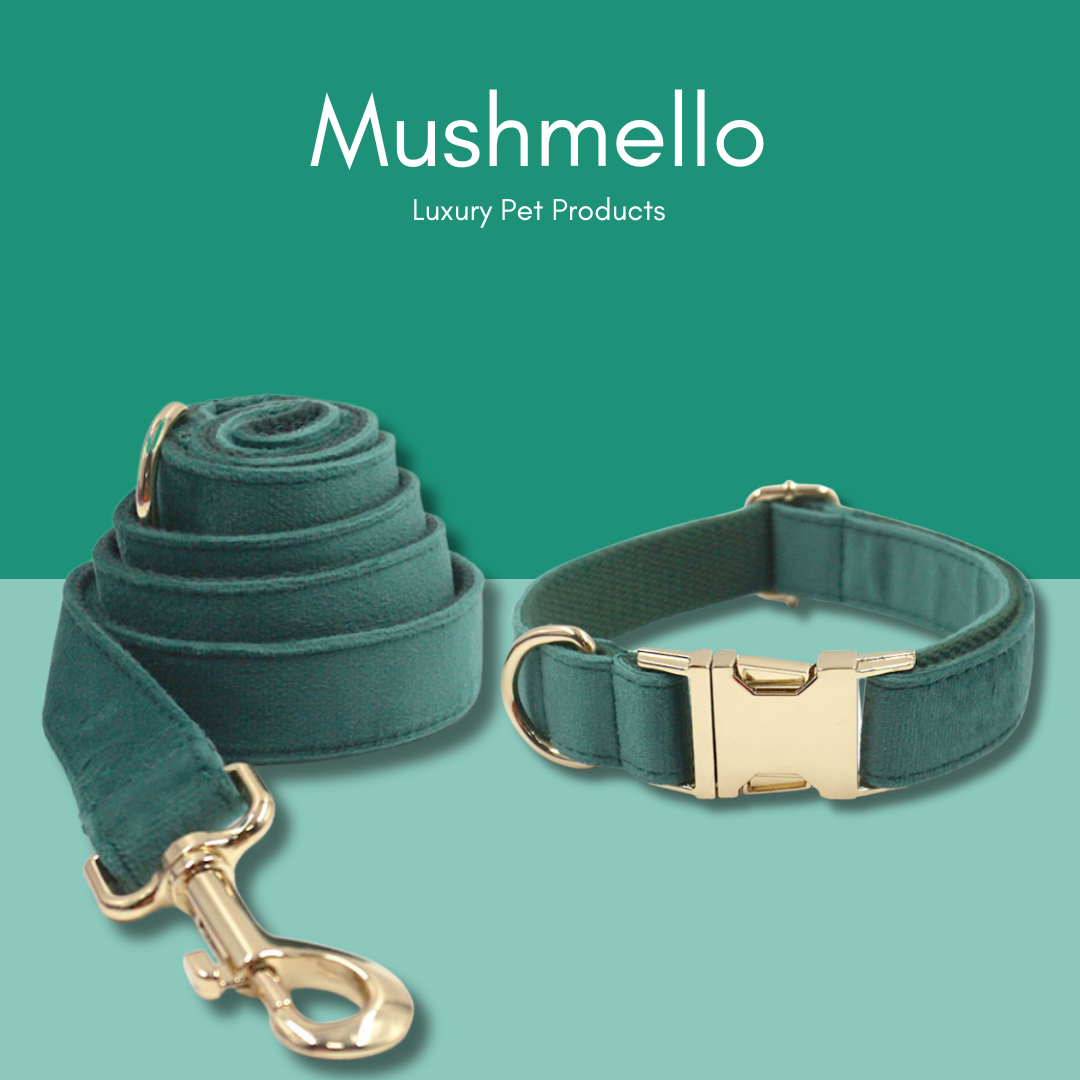 Luxury Rope Leash and Velvet Collar Set with Poop Bag holder- Emerald Green