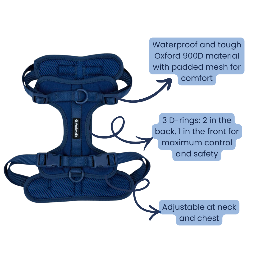 Mushmello Tough Waterproof Harness, Collar and Leash Set - Navy Blue