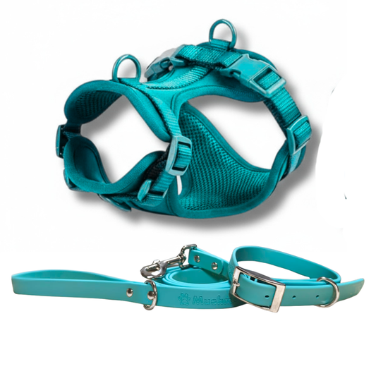 Mushmello Tough Waterproof Harness, Collar and Leash - Teal