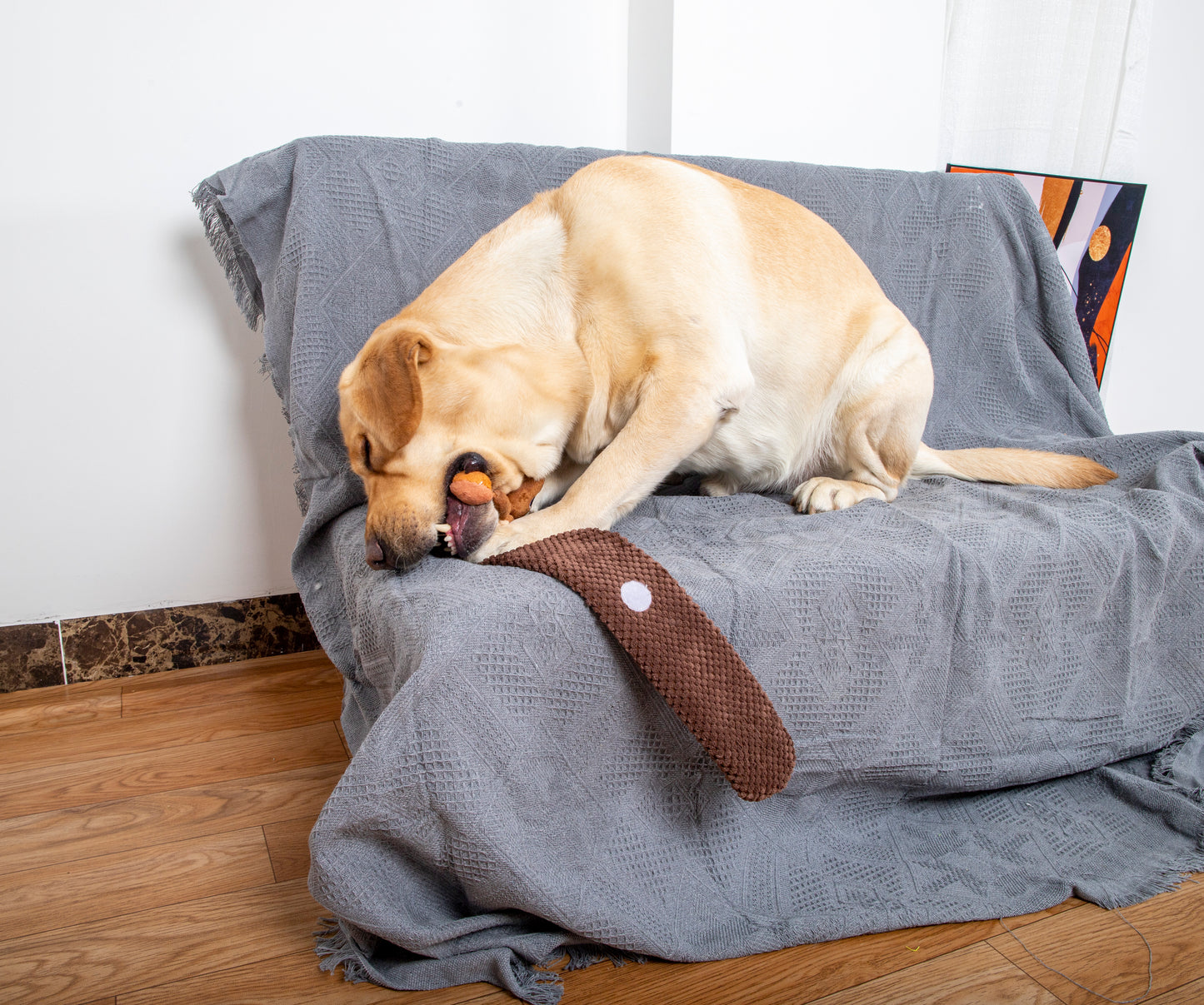 Mushmello Squirrel Snuffle Hide & Seek Dog Toy | Enrichment Slow Feeder | Nosework toy | SUMMER SPECIAL Limited stock only
