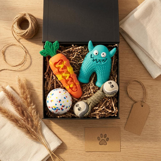 Mushmello Chewer's Bundle | Rex, Crunch, Bounce Ball & Dumbell | Dental Chew Dog Toy Set