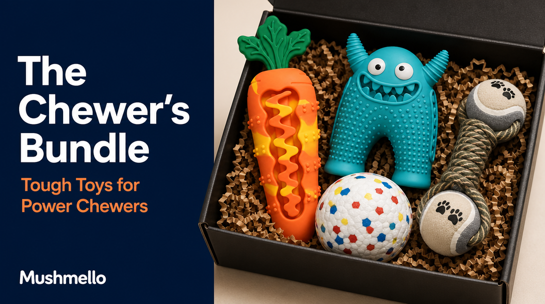 Mushmello Chewer's Bundle | Rex, Crunch, Bounce Ball & Dumbell | Dental Chew Dog Toy Set